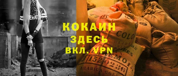 соль ск Алзамай
