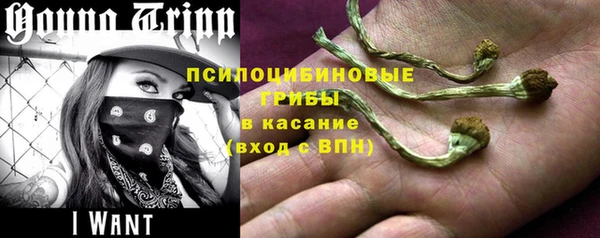 соль ск Алзамай