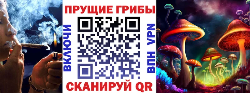 Галлюциногенные грибы Magic Shrooms  где купить   Ардон 